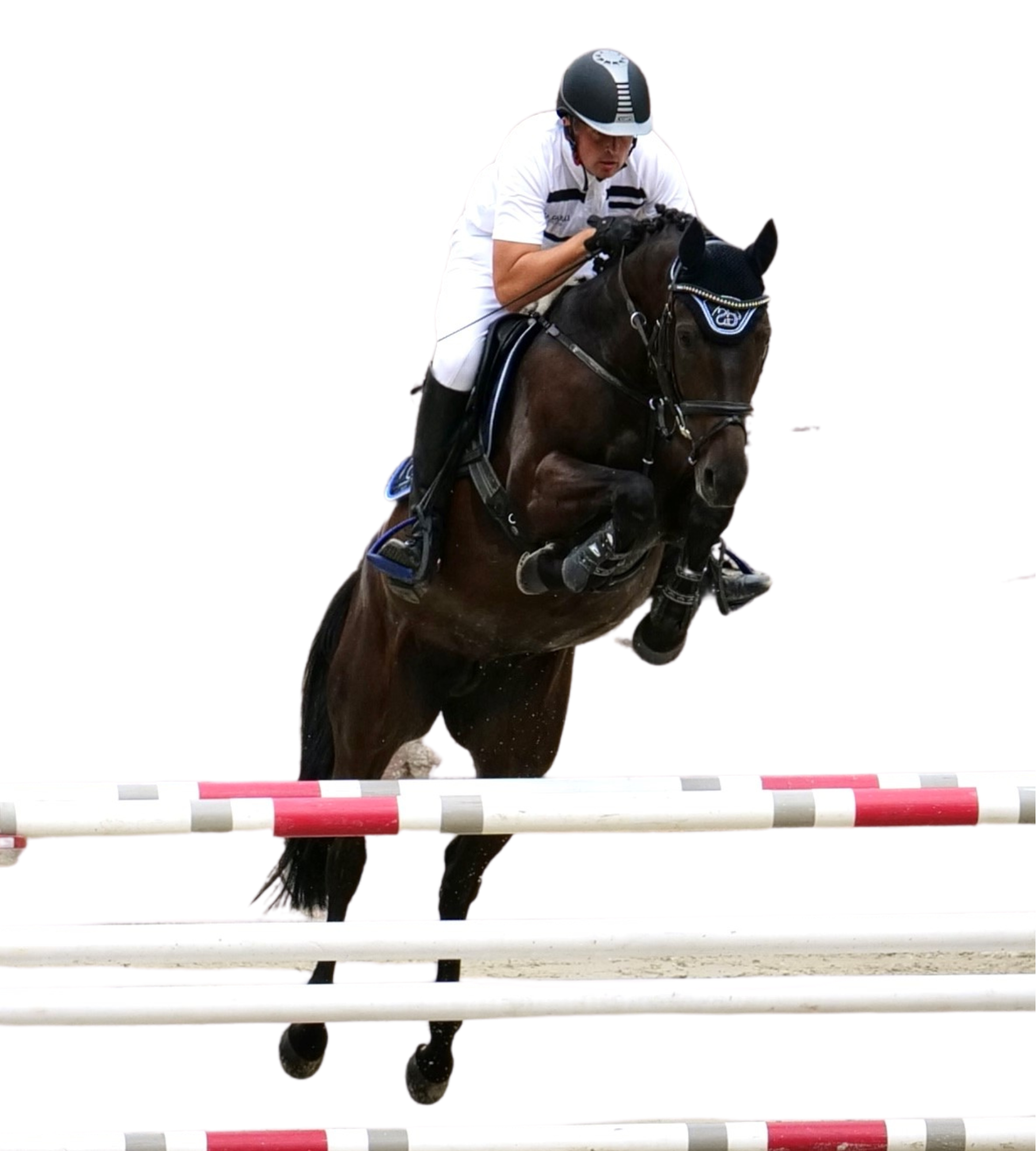 Reitturnier 2023 | Pferdepension & Zucht Gerald Schoppe